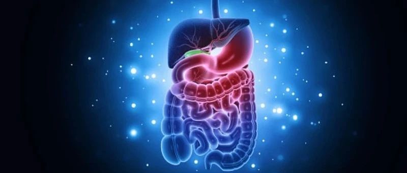 中华消化网-中华医学会消化病学分会官方网站