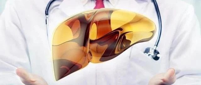 中华消化网-中华医学会消化病学分会官方网站